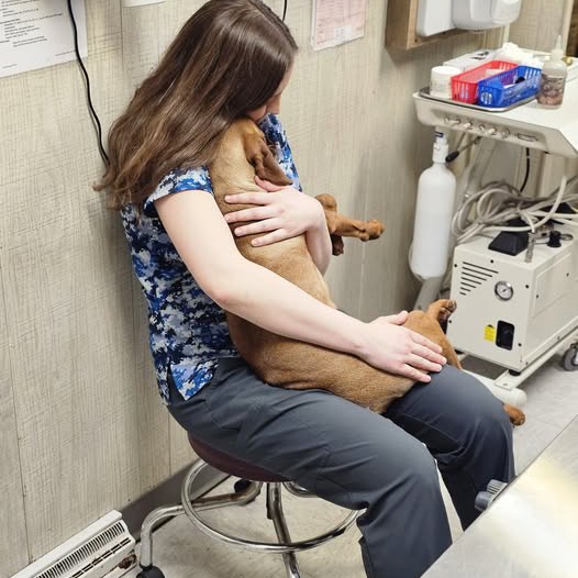 woman gently hugging a brown dog